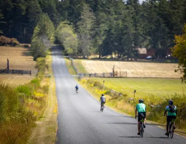 Group of people biking on an empty road, very spread apart from each other