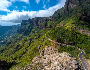 Curvy road in a mountain surrounded by large bushes with clouds in the sky