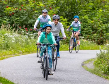 Family biking on an empty road, with a forest in the background