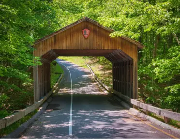Wooden tunnel over an empty road, surrounded by trees